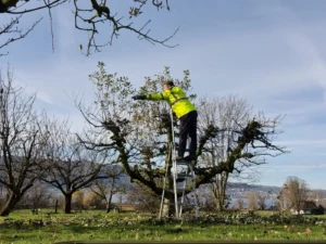Jost Gartenunterhalt - Gartenbau - Gartenpflege - Gärtner - Oberglatt - Zürcher Unterland - Zürich