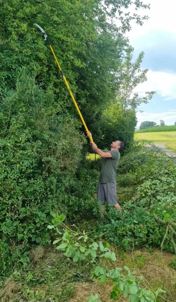 Jost Gartenunterhalt - Gartenbau - Gartenpflege - Gärtner - Oberglatt - Zürcher Unterland - Zürich - Baumschnitt